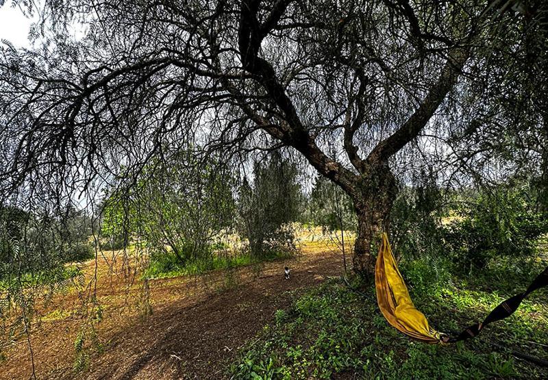 Salento Home Farm Bagnolo del Salento Екстериор снимка